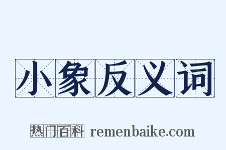 小象反义词是什么意思的图片